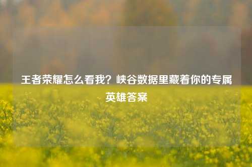 王者荣耀怎么看我?峡谷数据里藏着你的专属英雄答案