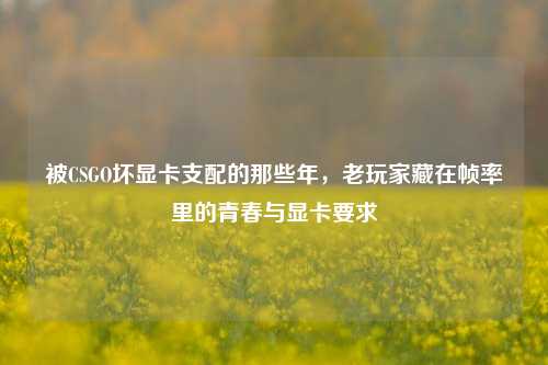 被CSGO坏显卡支配的那些年，老玩家藏在帧率里的青春与显卡要求