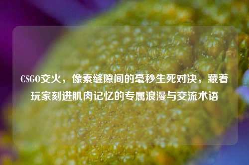 CSGO交火,像素缝隙间的毫秒生死对决,藏着玩家刻进肌肉记忆的专属浪漫与交流术语