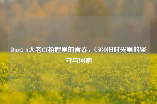 Dust2 A大老CT枪膛里的青春，CSGO旧时光里的坚守与回响