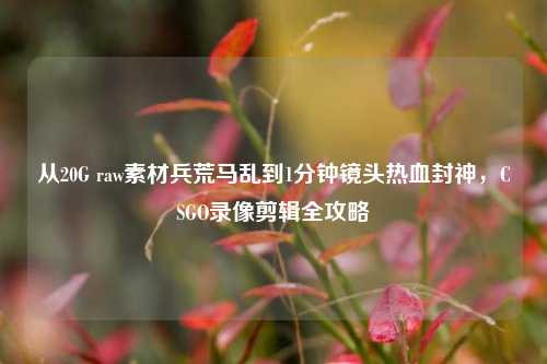 从20G raw素材兵荒马乱到1分钟镜头热血封神,CSGO录像剪辑全攻略