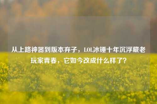从上路神器到版本弃子,LOL冰锤十年沉浮藏老玩家青春,它如今改成什么样了?