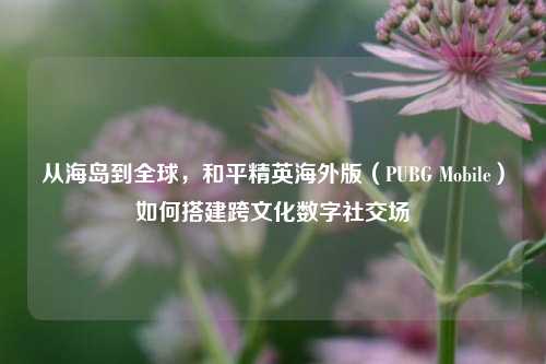 从海岛到全球,和平精英海外版(PUBG Mobile)如何搭建跨文化数字社交场