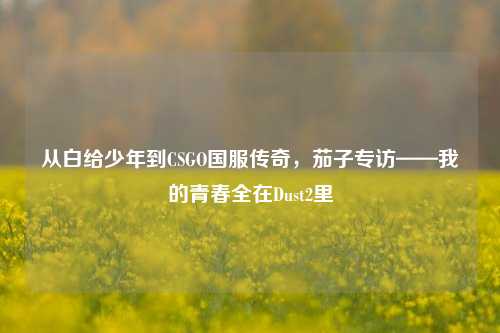从白给少年到CSGO国服传奇，茄子专访——我的青春全在Dust2里