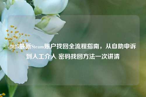 2025最新Steam账户找回全流程指南,从自助申诉到人工介入 密码找回方法一次讲清