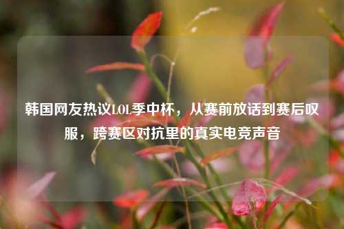 韩国网友热议LOL季中杯,从赛前放话到赛后叹服,跨赛区对抗里的真实电竞声音