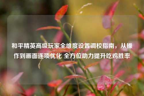 和平精英高级玩家全维度设置调校指南,从操作到画面逐项优化 全方位助力提升吃鸡胜率
