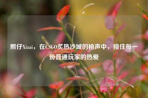 熙仔Xizai，在CSGO炙热沙城的枪声中，接住每一份普通玩家的热爱