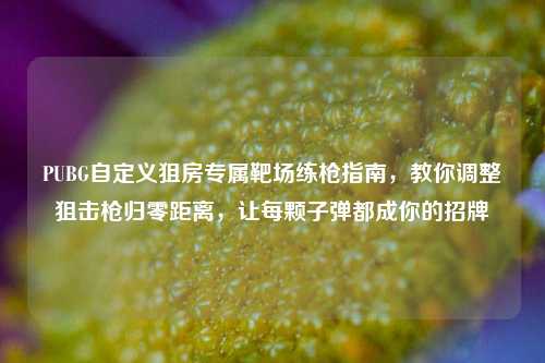 PUBG自定义狙房专属靶场练枪指南,教你调整狙击枪归零距离,让每颗子弹都成你的招牌