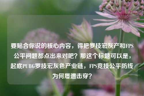 要贴合你说的核心内容,得把罗技宏灰产和FPS公平问题都点出来对吧?那这个标题可以是,起底PUBG罗技宏灰色产业链,FPS竞技公平防线为何屡遭击穿?