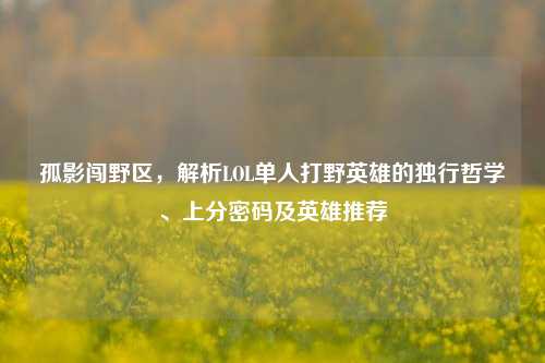 孤影闯野区,解析LOL单人打野英雄的独行哲学、上分密码及英雄推荐