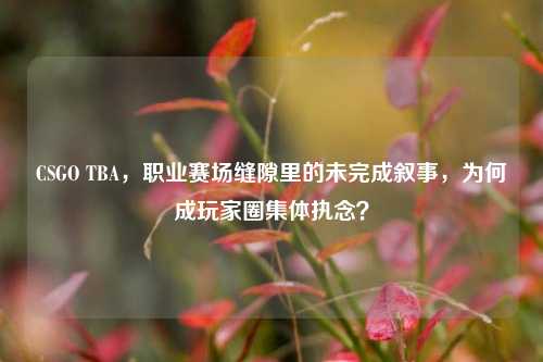 CSGO TBA,职业赛场缝隙里的未完成叙事,为何成玩家圈集体执念?