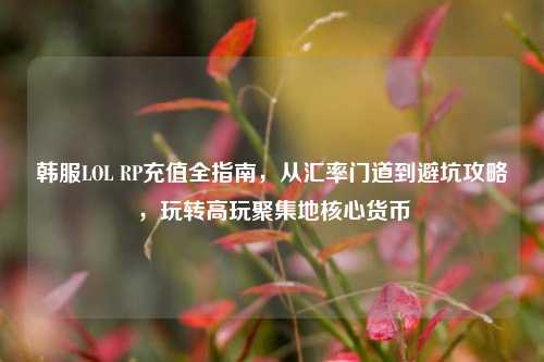 韩服LOL RP充值全指南,从汇率门道到避坑攻略,玩转高玩聚集地核心货币