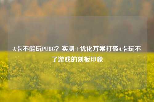 A卡不能玩PUBG?实测+优化方案打破A卡玩不了游戏的刻板印象