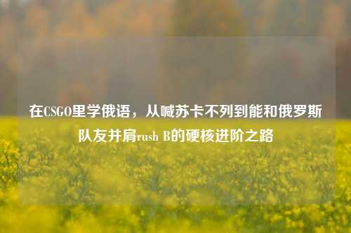 在CSGO里学俄语,从喊苏卡不列到能和俄罗斯队友并肩rush B的硬核进阶之路
