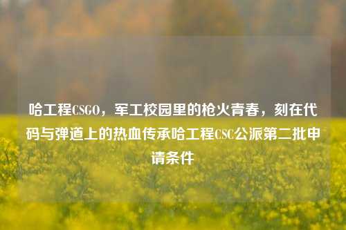 哈工程CSGO,军工校园里的枪火青春,刻在代码与弹道上的热血传承哈工程CSC公派第二批申请条件