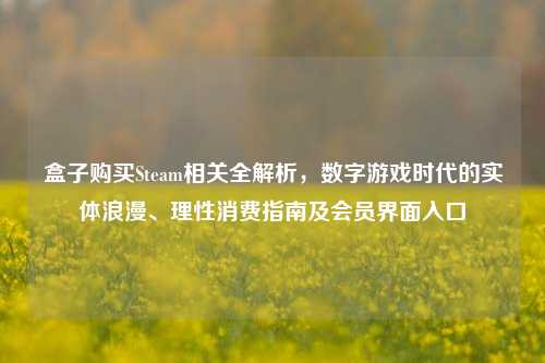盒子购买Steam相关全解析,数字游戏时代的实体浪漫、理性消费指南及会员界面入口