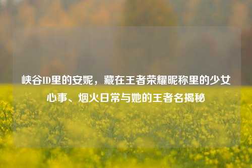 峡谷ID里的安妮，藏在王者荣耀昵称里的少女心事、烟火日常与她的王者名揭秘