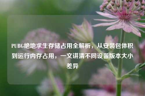 PUBG绝地求生存储占用全解析,从安装包体积到运行内存占用,一文讲清不同设备版本大小差异