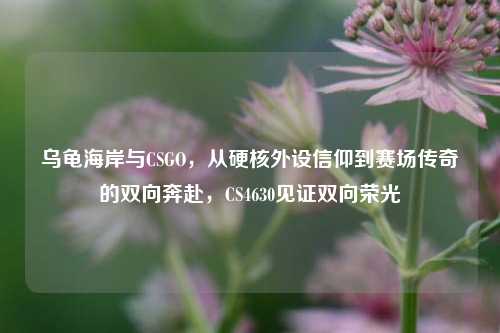 乌龟海岸与CSGO，从硬核外设信仰到赛场传奇的双向奔赴，CS4630见证双向荣光