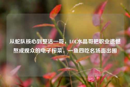 从蛇队核心到整活一哥,LOL水晶哥把职业遗憾熬成观众的电子榨菜,一鱼四吃名场面出圈