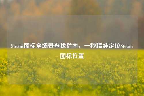 Steam图标全场景查找指南,一秒精准定位Steam图标位置