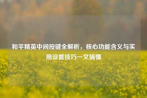 和平精英中间按键全解析,核心功能含义与实用设置技巧一文搞懂