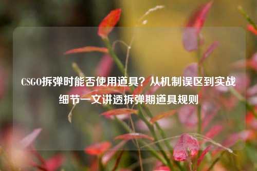 CSGO拆弹时能否使用道具?从机制误区到实战细节一文讲透拆弹期道具规则