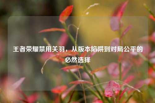 王者荣耀禁用关羽，从版本陷阱到对局公平的必然选择