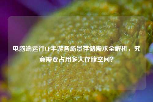 电脑端运行CF手游各场景存储需求全解析，究竟需要占用多大存储空间？