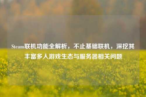Steam联机功能全解析，不止基础联机，深挖其丰富多人游戏生态与服务器相关问题