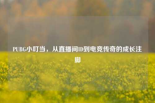 PUBG小叮当,从直播间ID到电竞传奇的成长注脚