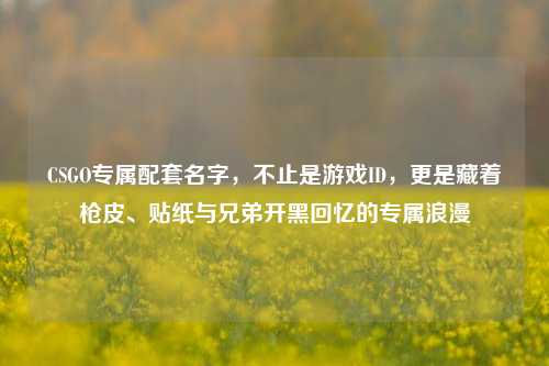 CSGO专属配套名字,不止是游戏ID,更是藏着枪皮、贴纸与兄弟开黑回忆的专属浪漫