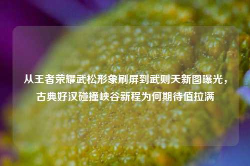 从王者荣耀武松形象刷屏到武则天新图曝光，古典好汉碰撞峡谷新程为何期待值拉满