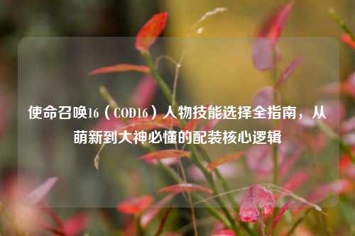 使命召唤16(COD16)人物技能选择全指南,从萌新到大神必懂的配装核心逻辑