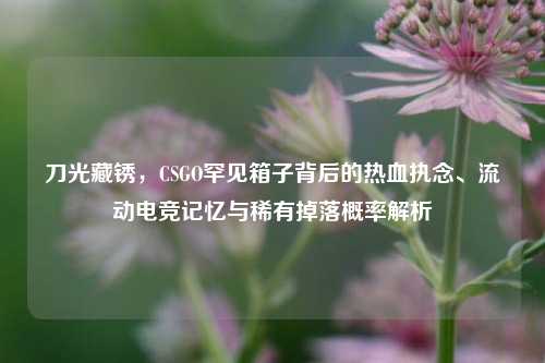 刀光藏锈，CSGO罕见箱子背后的热血执念、流动电竞记忆与稀有掉落概率解析