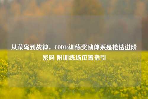 从菜鸟到战神,COD16训练奖励体系是枪法进阶密码 附训练场位置指引