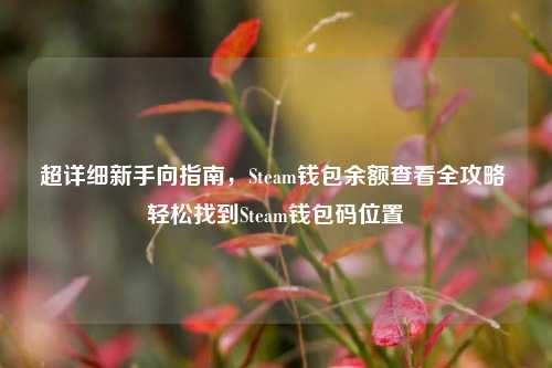 超详细新手向指南,Steam钱包余额查看全攻略 轻松找到Steam钱包码位置