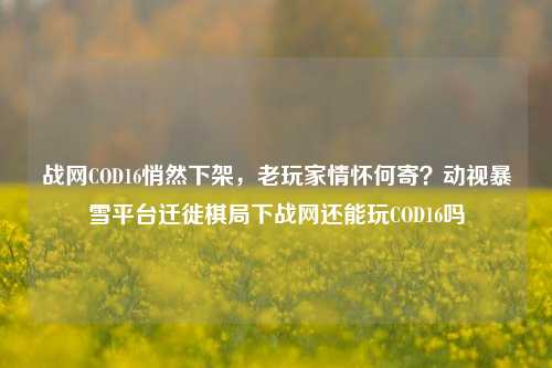 战网COD16悄然下架,老玩家情怀何寄?动视暴雪平台迁徙棋局下战网还能玩COD16吗