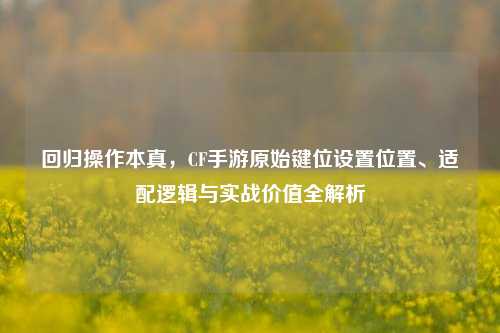 回归操作本真,CF手游原始键位设置位置、适配逻辑与实战价值全解析