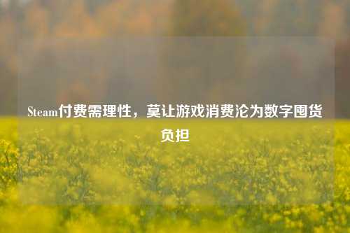 Steam付费需理性，莫让游戏消费沦为数字囤货负担
