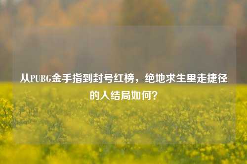 从PUBG金手指到封号红榜,绝地求生里走捷径的人结局如何?