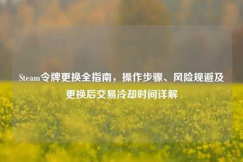 Steam令牌更换全指南，操作步骤、风险规避及更换后交易冷却时间详解