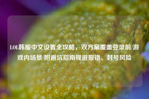 LOL韩服中文设置全攻略,双方案覆盖登录前/游戏内场景 附避坑指南规避报错、封号风险