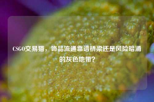 CSGO交易猫,饰品流通靠谱桥梁还是风险暗涌的灰色地带?