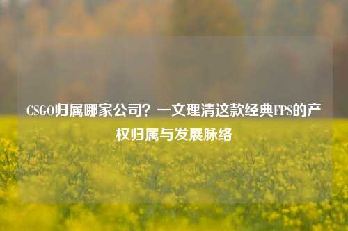 CSGO归属哪家公司?一文理清这款经典FPS的产权归属与发展脉络