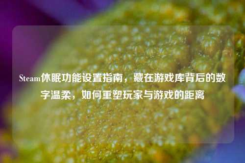 Steam休眠功能设置指南,藏在游戏库背后的数字温柔,如何重塑玩家与游戏的距离