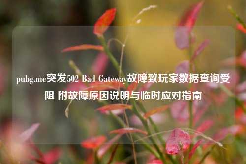 pubg.me突发502 Bad Gateway故障致玩家数据查询受阻 附故障原因说明与临时应对指南