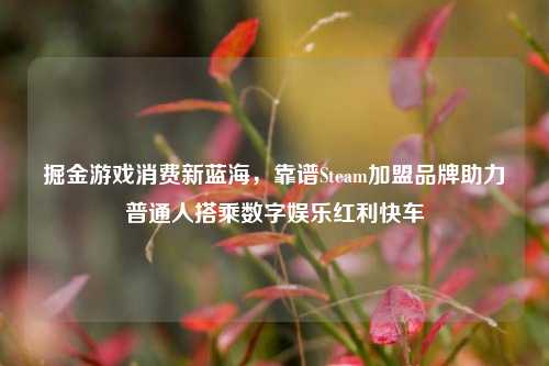 掘金游戏消费新蓝海，靠谱Steam加盟品牌助力普通人搭乘数字娱乐红利快车