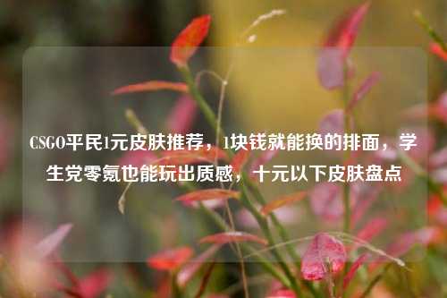 CSGO平民1元皮肤推荐，1块钱就能换的排面，学生党零氪也能玩出质感，十元以下皮肤盘点